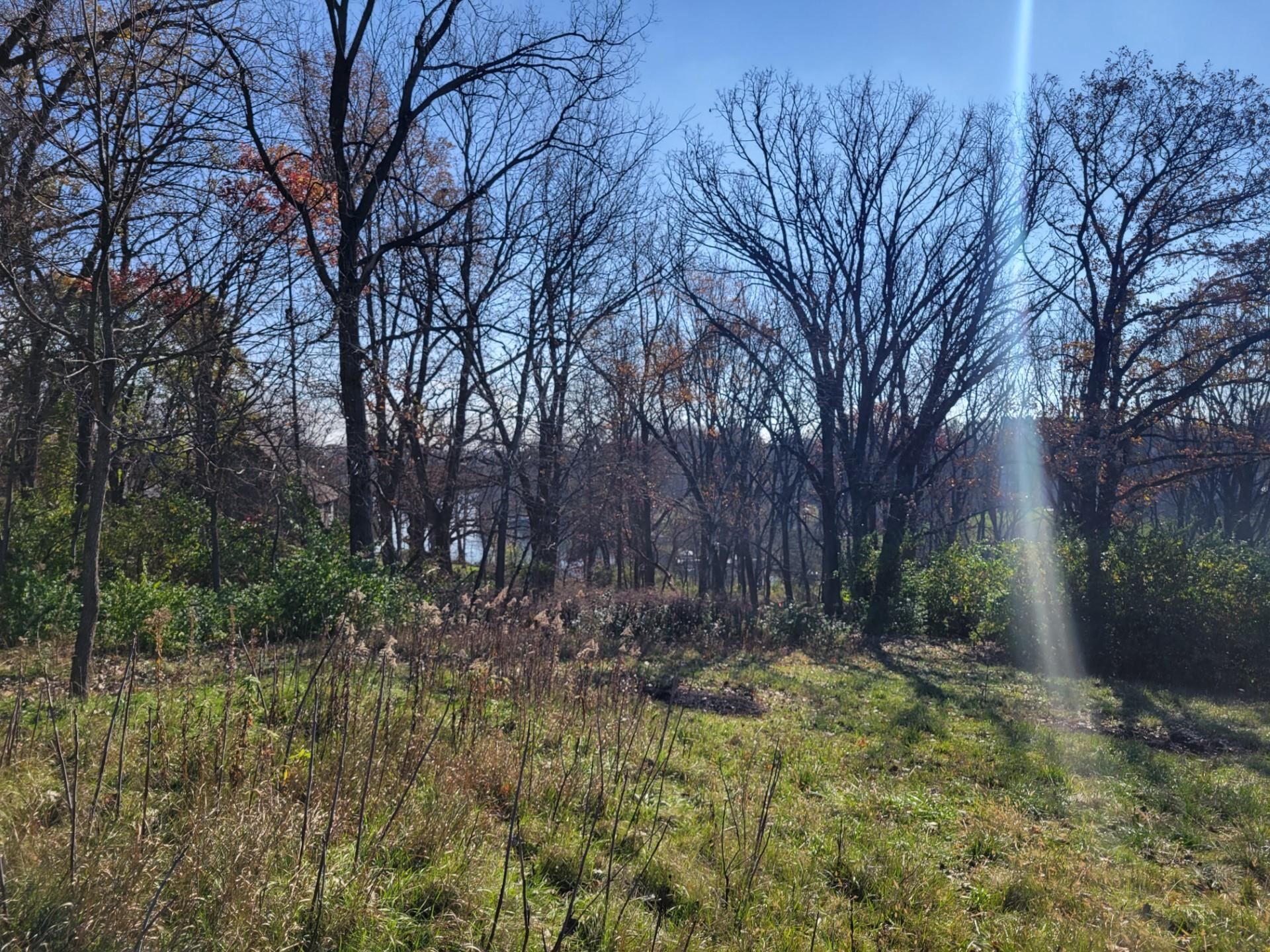 2-a33 Hidden Spring Lane Apple River, IL 61001 - Photo 1 of 3