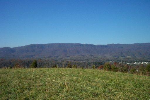 Crockett Road Harrogate, TN 37752 - Photo 1 of 3 Naylor