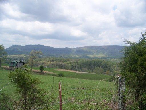 Crockett Road Harrogate, TN 37752 - Photo 3 of 3 naylor1