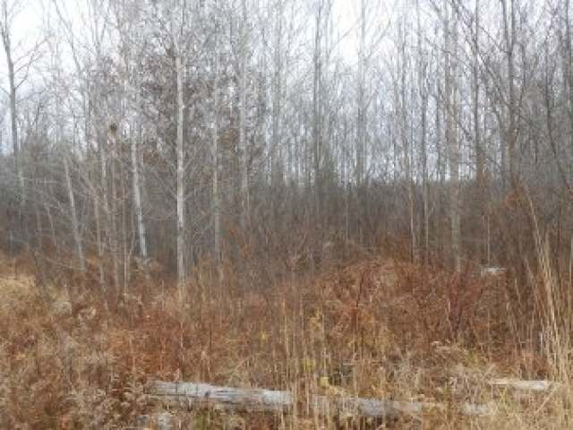 5077 West Clover Rd Road Winter, WI 54896 - Photo 14 of 20 Gallery Image 14