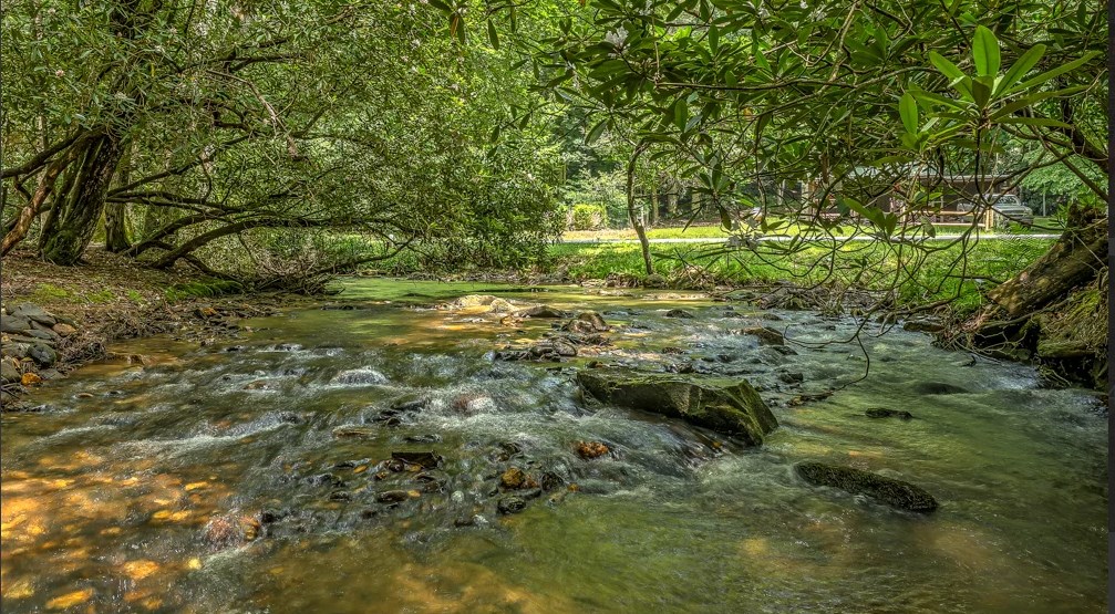 30 Stanley Creek Road Cherry Log, GA 30522 - Photo 3 of 39