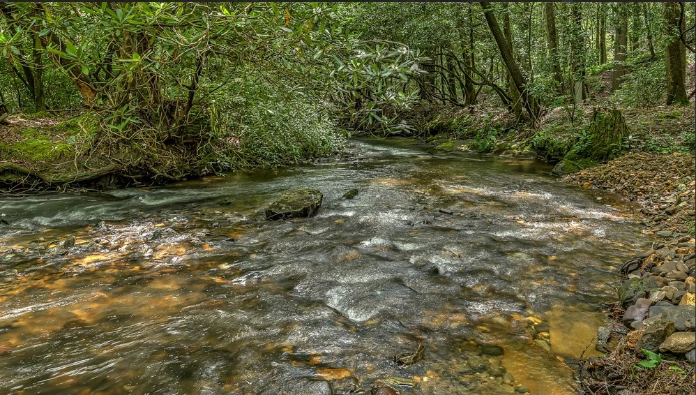 30 Stanley Creek Road Cherry Log, GA 30522 - Photo 4 of 39