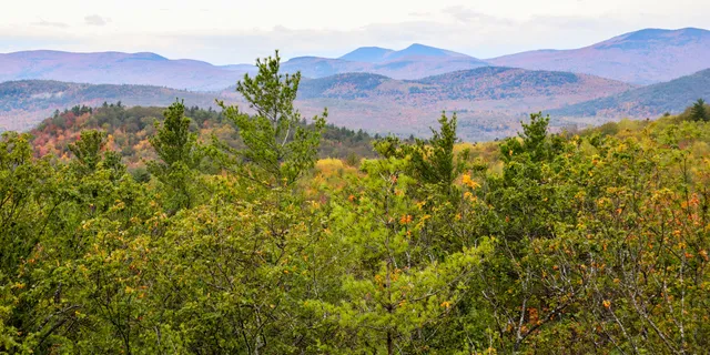 $899,900 | 859 Maine Street, Stoneham, ME 04231