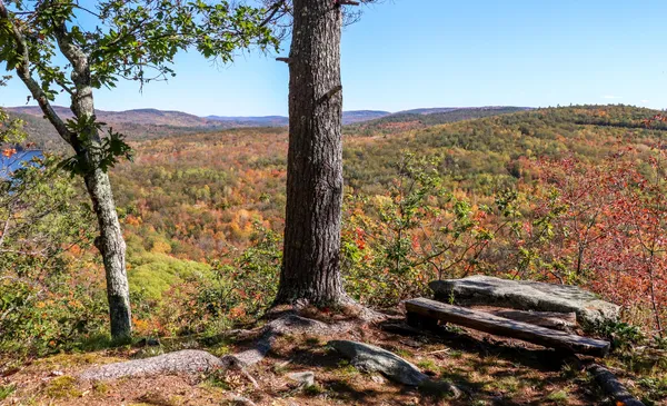 $899,900 | 859 Maine Street, Stoneham, ME 04231