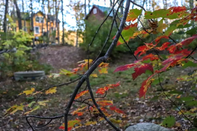 $899,900 | 859 Maine Street, Stoneham, ME 04231