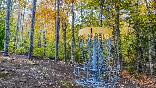 $899,900 | 859 Maine Street, Stoneham, ME 04231