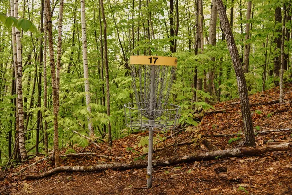 $899,900 | 859 Maine Street, Stoneham, ME 04231