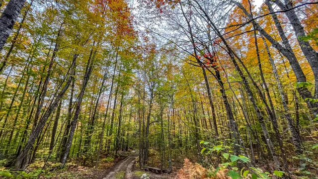 $899,900 | 859 Maine Street, Stoneham, ME 04231