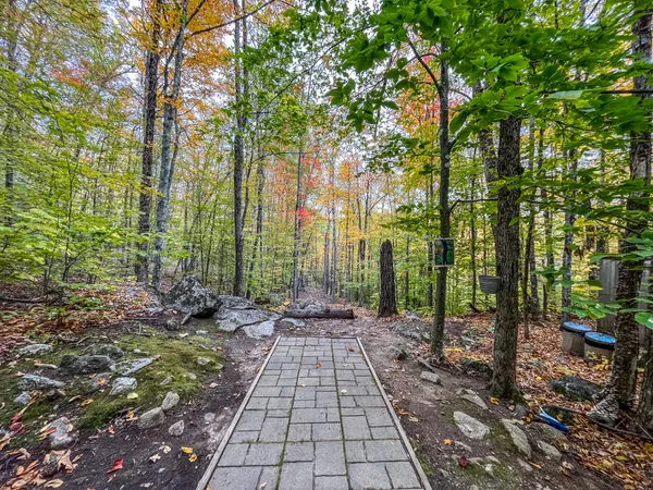 $899,900 | 859 Maine Street, Stoneham, ME 04231