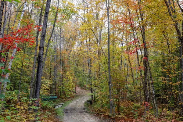 $899,900 | 859 Maine Street, Stoneham, ME 04231