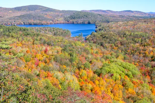 $899,900 | 859 Maine Street, Stoneham, ME 04231