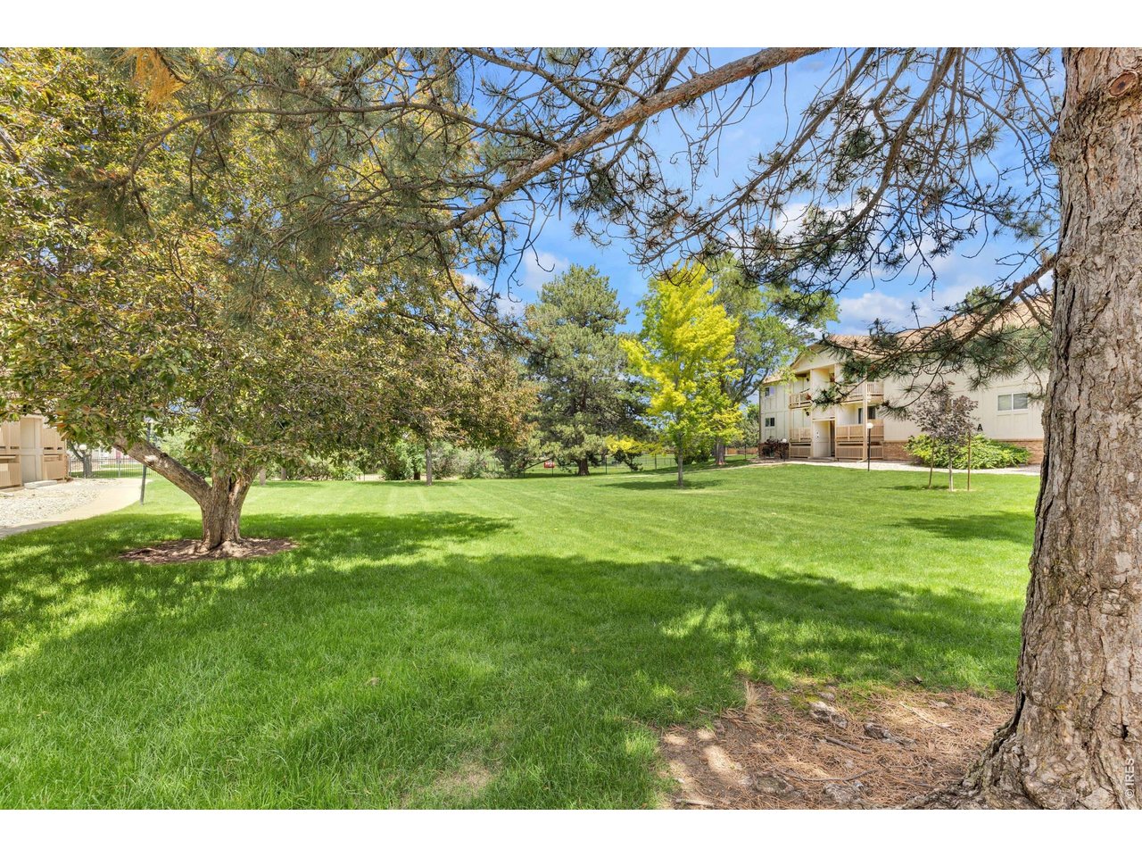 1024 East Swallow Road, Unit 234 Fort Collins, CO 80525 - Photo 22 of 25