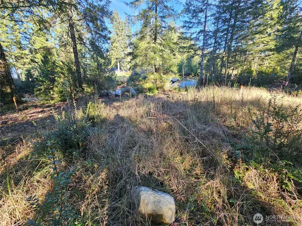 a view of swimming pool and trees