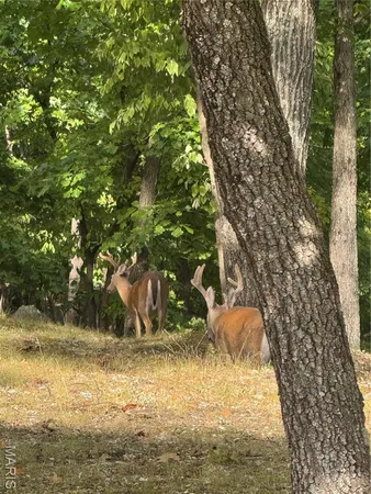 $409,000 | 18759 Maries Road 308, Belle, MO 65013