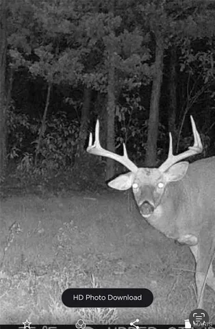 $450,000 | 18759 Maries Road 308, Belle, MO 65013