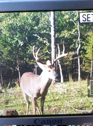 $450,000 | 18759 Maries Road 308, Belle, MO 65013