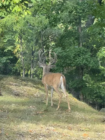 $409,000 | 18759 Maries Road 308, Belle, MO 65013