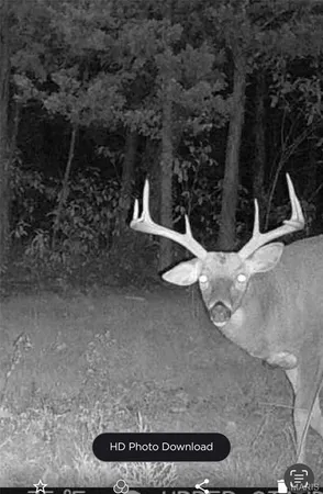 $409,000 | 18759 Maries Road 308, Belle, MO 65013