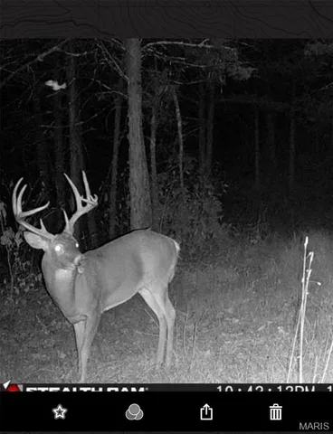 $429,000 | 18759 Maries Road 308, Belle, MO 65013