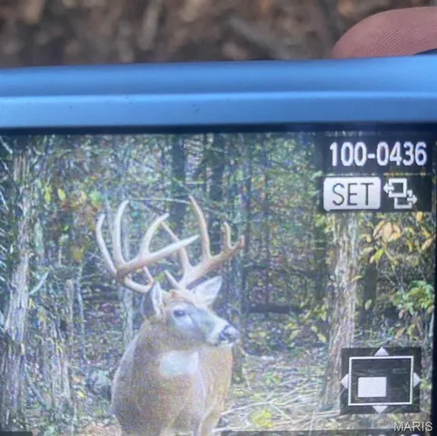 $429,000 | 18759 Maries Road 308, Belle, MO 65013