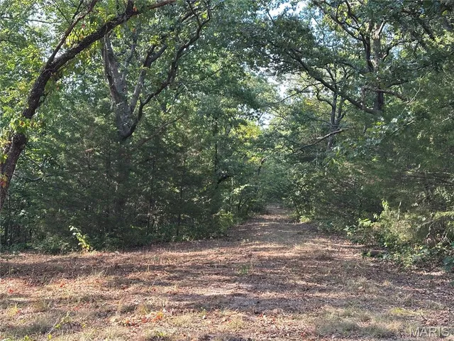 $450,000 | 18759 Maries Road 308, Belle, MO 65013