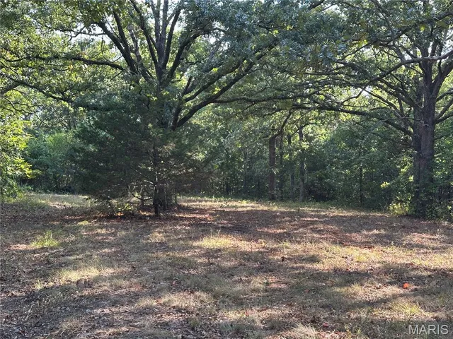 $450,000 | 18759 Maries Road 308, Belle, MO 65013