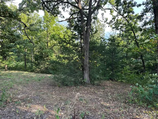 $409,000 | 18759 Maries Road 308, Belle, MO 65013