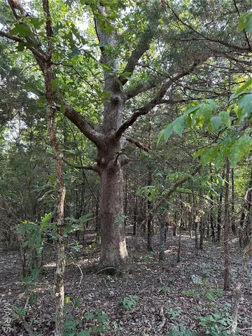 $450,000 | 18759 Maries Road 308, Belle, MO 65013