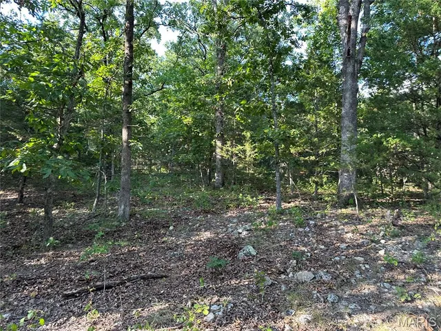 $450,000 | 18759 Maries Road 308, Belle, MO 65013