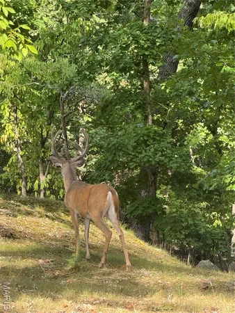 $409,000 | 18759 Maries Road 308, Belle, MO 65013