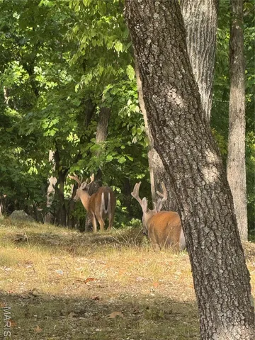 $450,000 | 18759 Maries Road 308, Belle, MO 65013