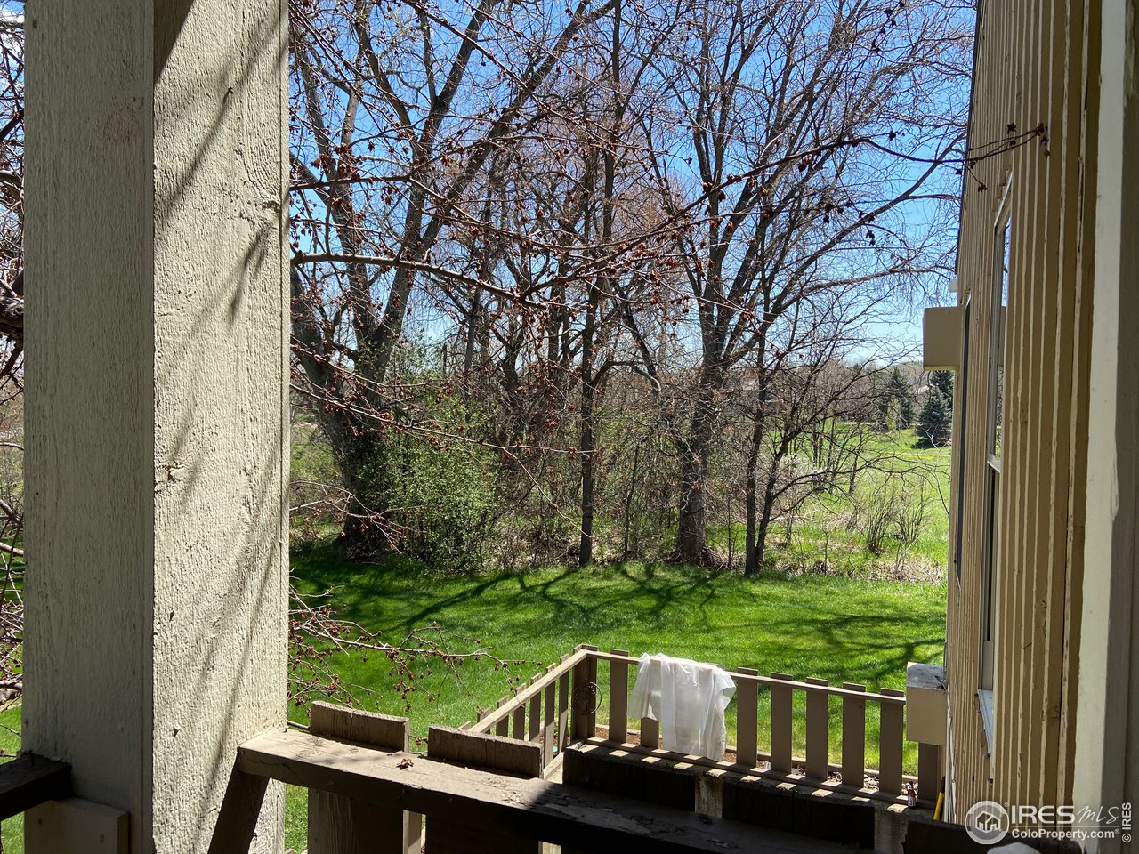 8060 Niwot Road, Unit 12E Niwot, CO 80503 - Photo 21 of 36 a view of deck with a large trees