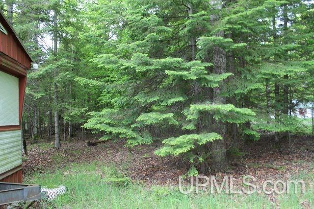 10029 15.25 Road Rapid River, MI 49878 - Photo 5 of 21 Gallery Image 5