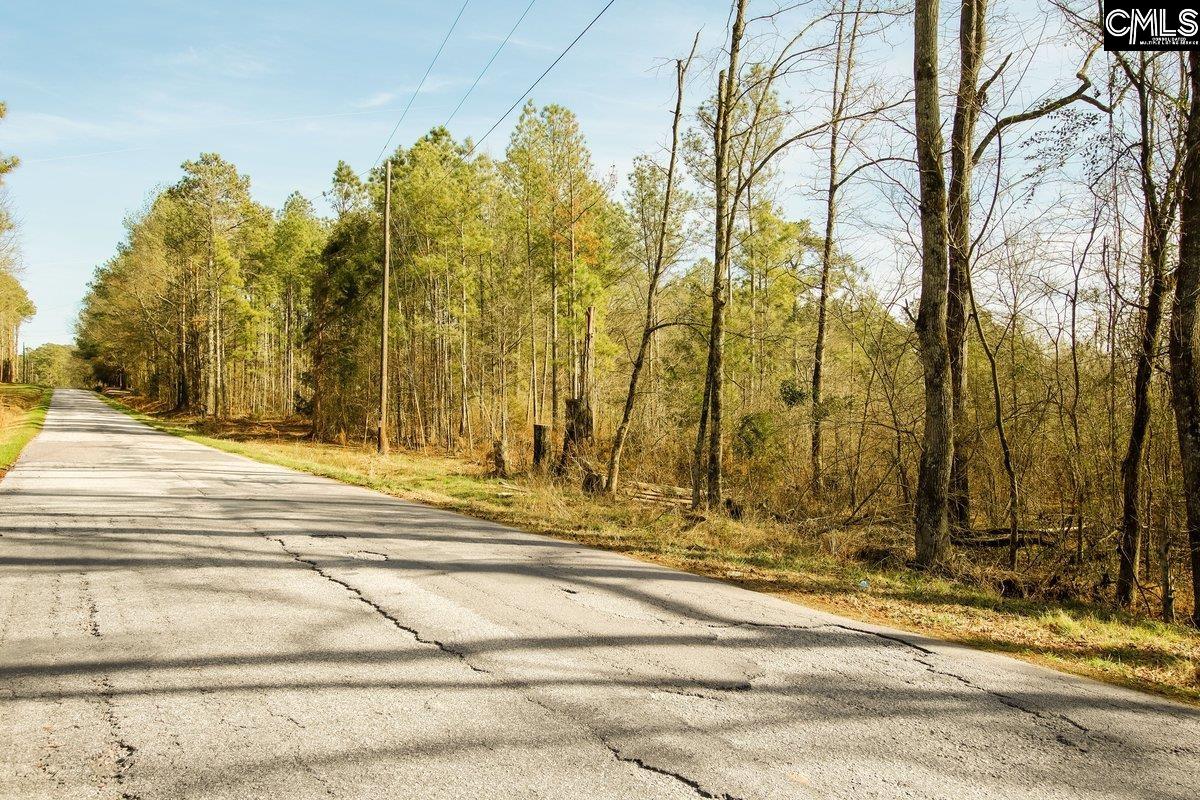 561 Church Road Batesburg, SC 29006 - Photo 7 of 24