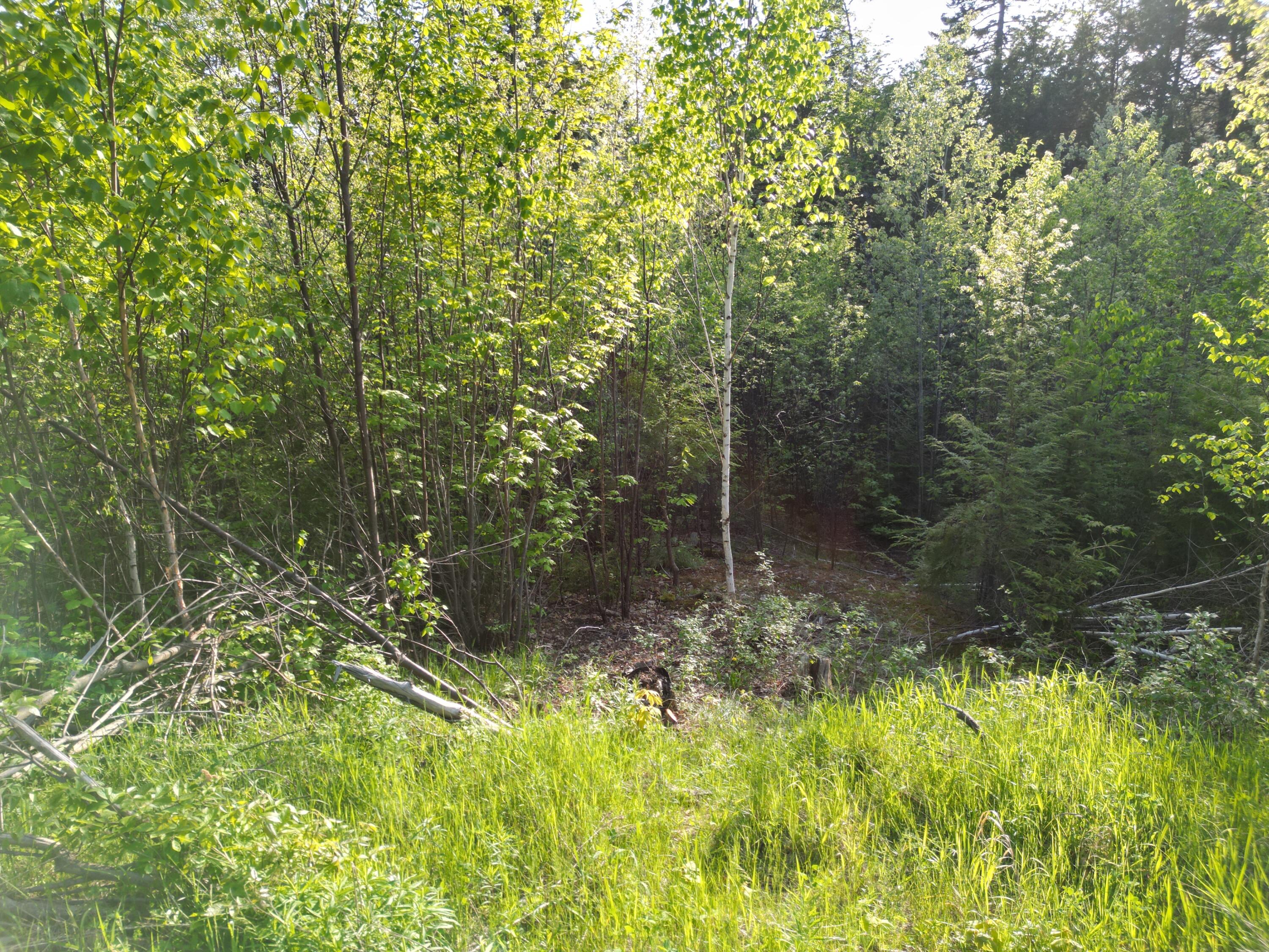 Lot 41-1 Bottle Lake Road Lakeville, ME 04487 - Photo 3 of 23 DJI_0608