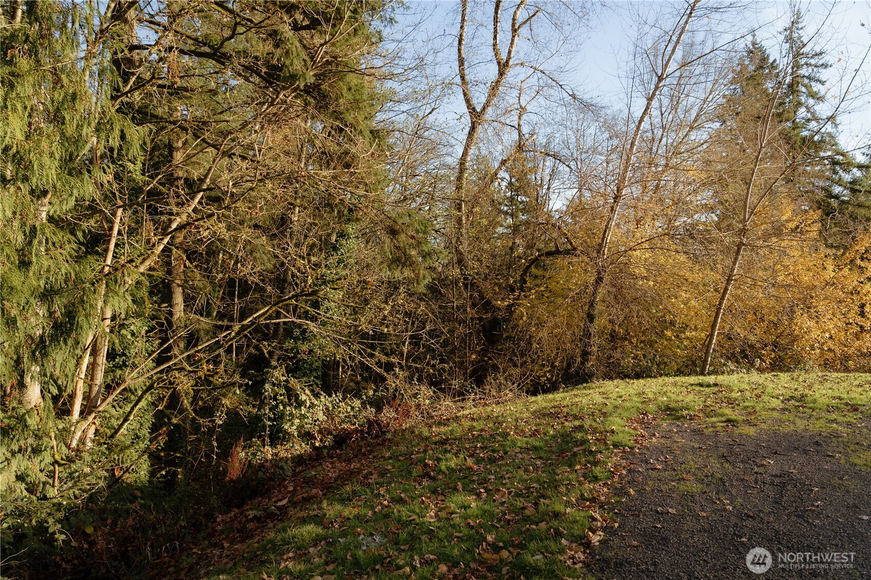 0 Cascade Drive Longview, WA 98632 - Photo 2 of 5 a view of empty yard