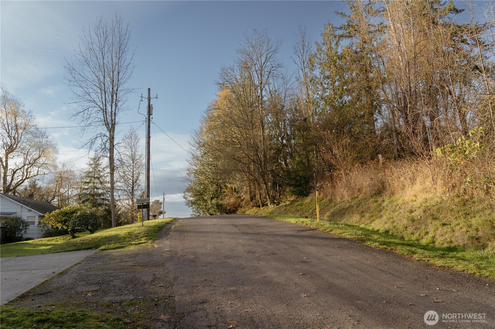 0 Cascade Drive Longview, WA 98632 - Photo 5 of 5 a view of dirt yard with a large tree