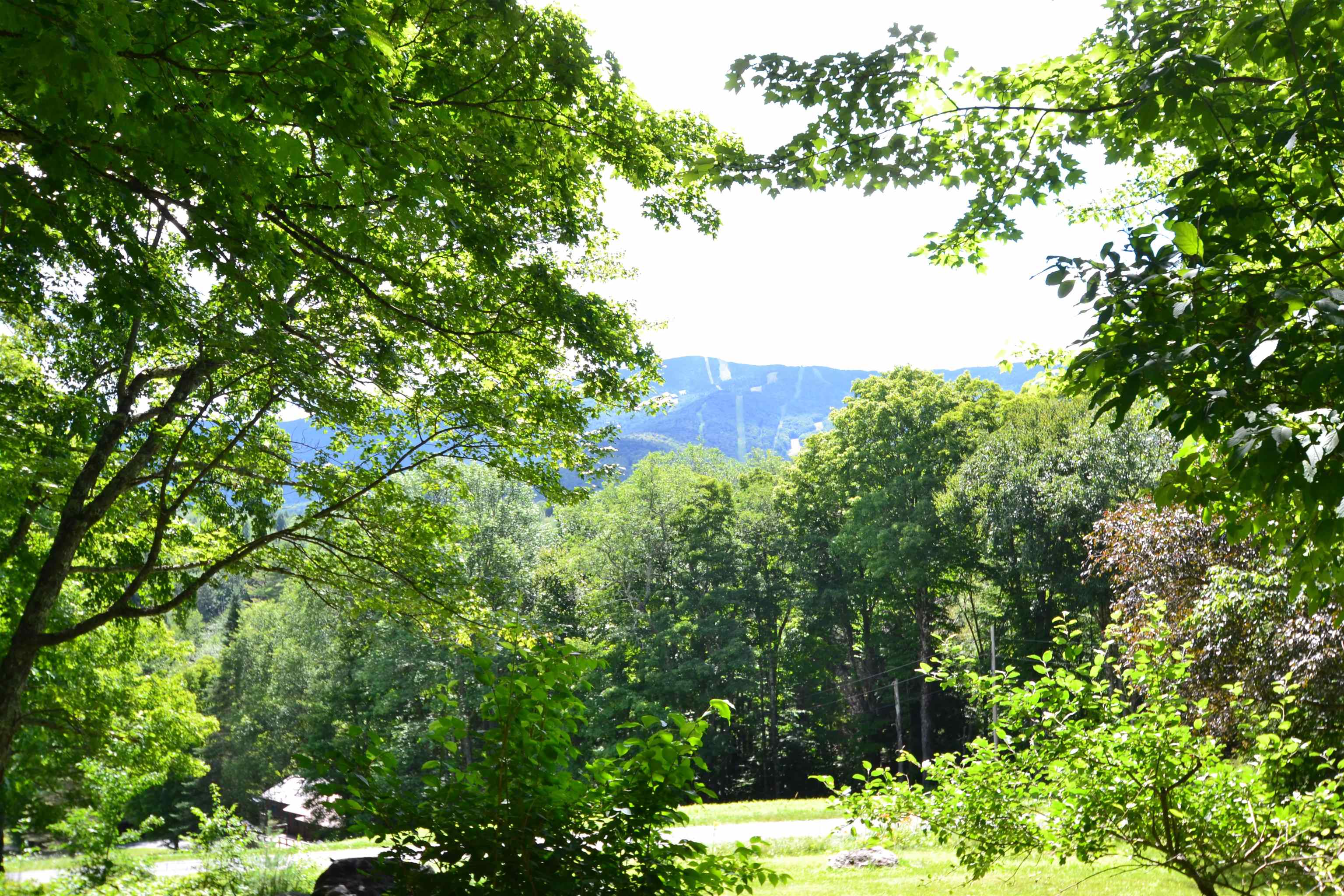 164 Clark Road Fayston, VT 05673 - Photo 2 of 35