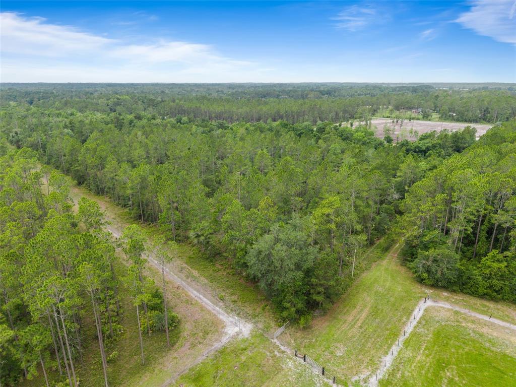 5753 Retreat Road Keystone Heights, FL 32656 - Photo 8 of 9