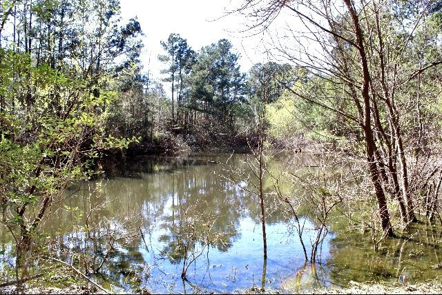 0 Bismark Road Jayess, MS 39641 - Photo 1 of 1 Main View