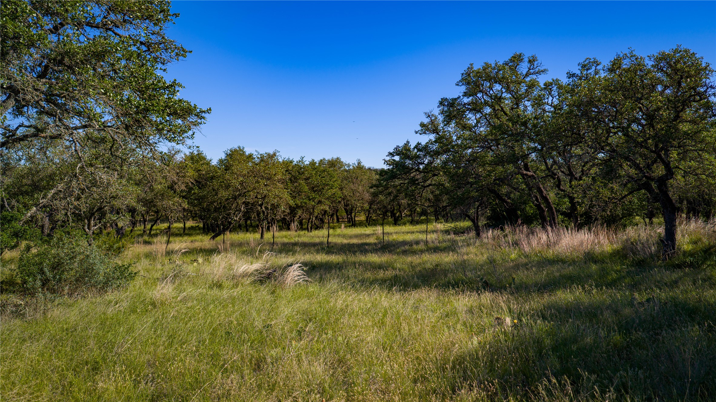 3276 Link Road Doss, TX 78618 - Photo 27 of 35