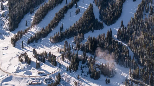a view of a back yard