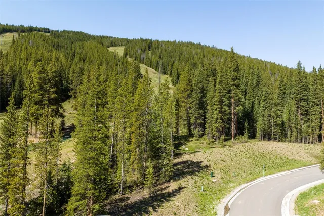a view of a yard with plants and trees