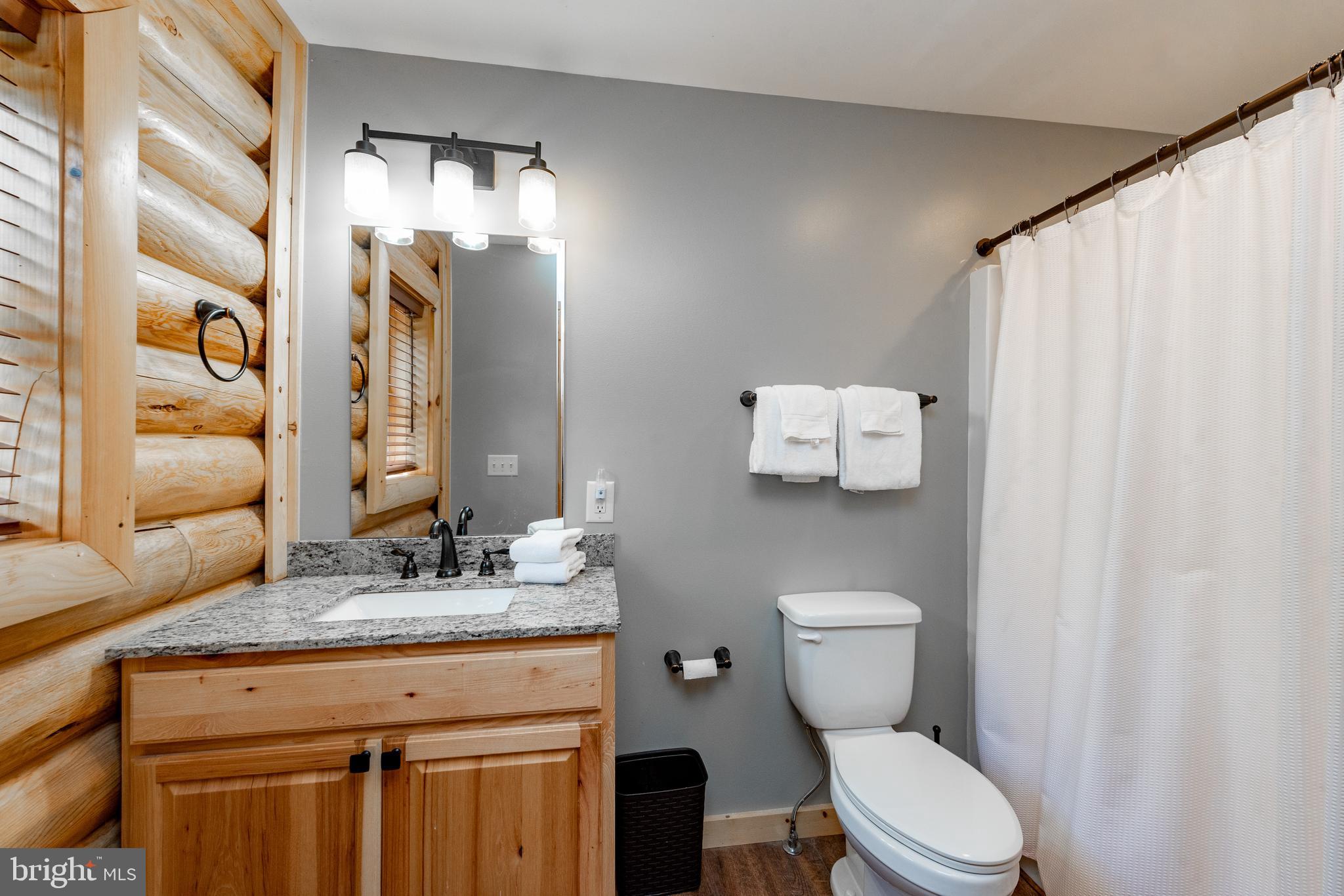 870 North Camp Road McHenry, MD 21541 - Photo 30 of 64