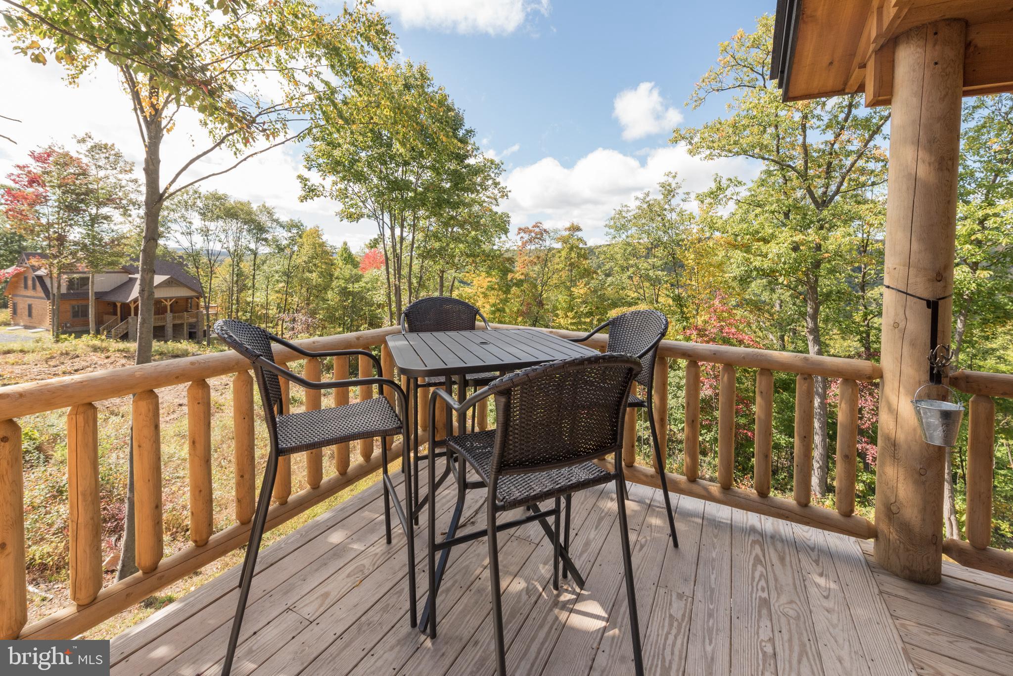 870 North Camp Road McHenry, MD 21541 - Photo 59 of 64