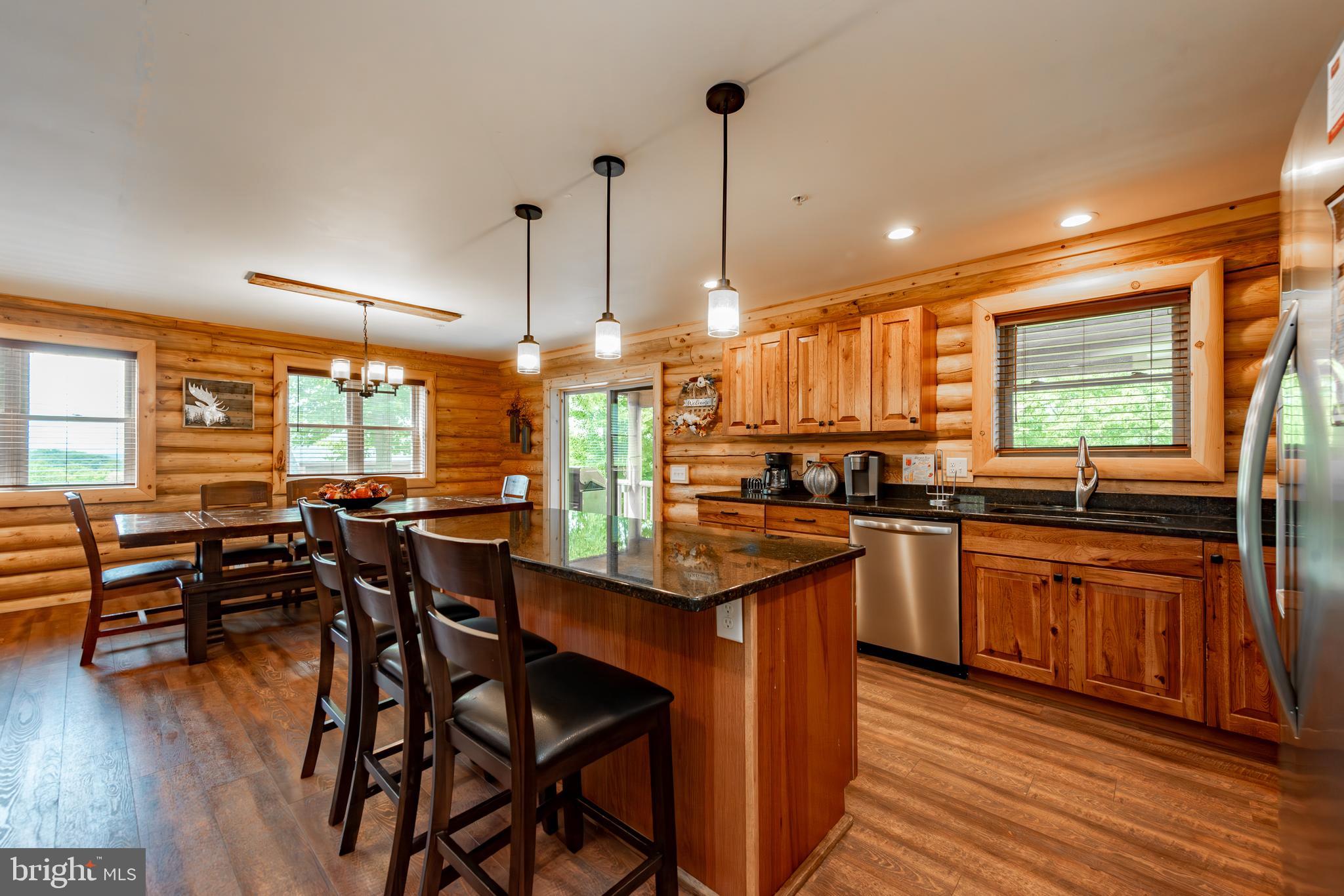 870 North Camp Road McHenry, MD 21541 - Photo 9 of 64