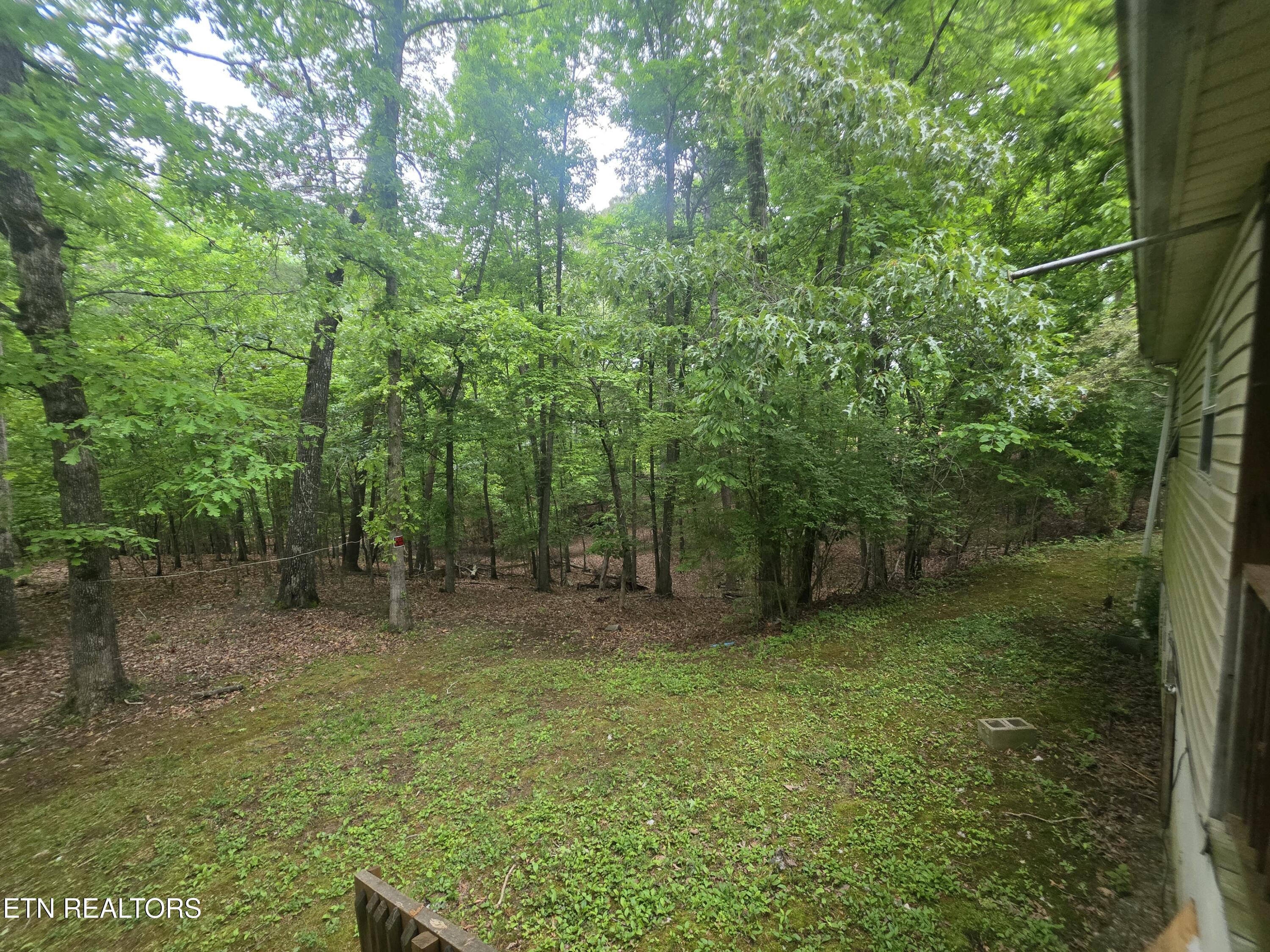 2170 Childress Road Dandridge, TN 37725 - Photo 11 of 26 45985