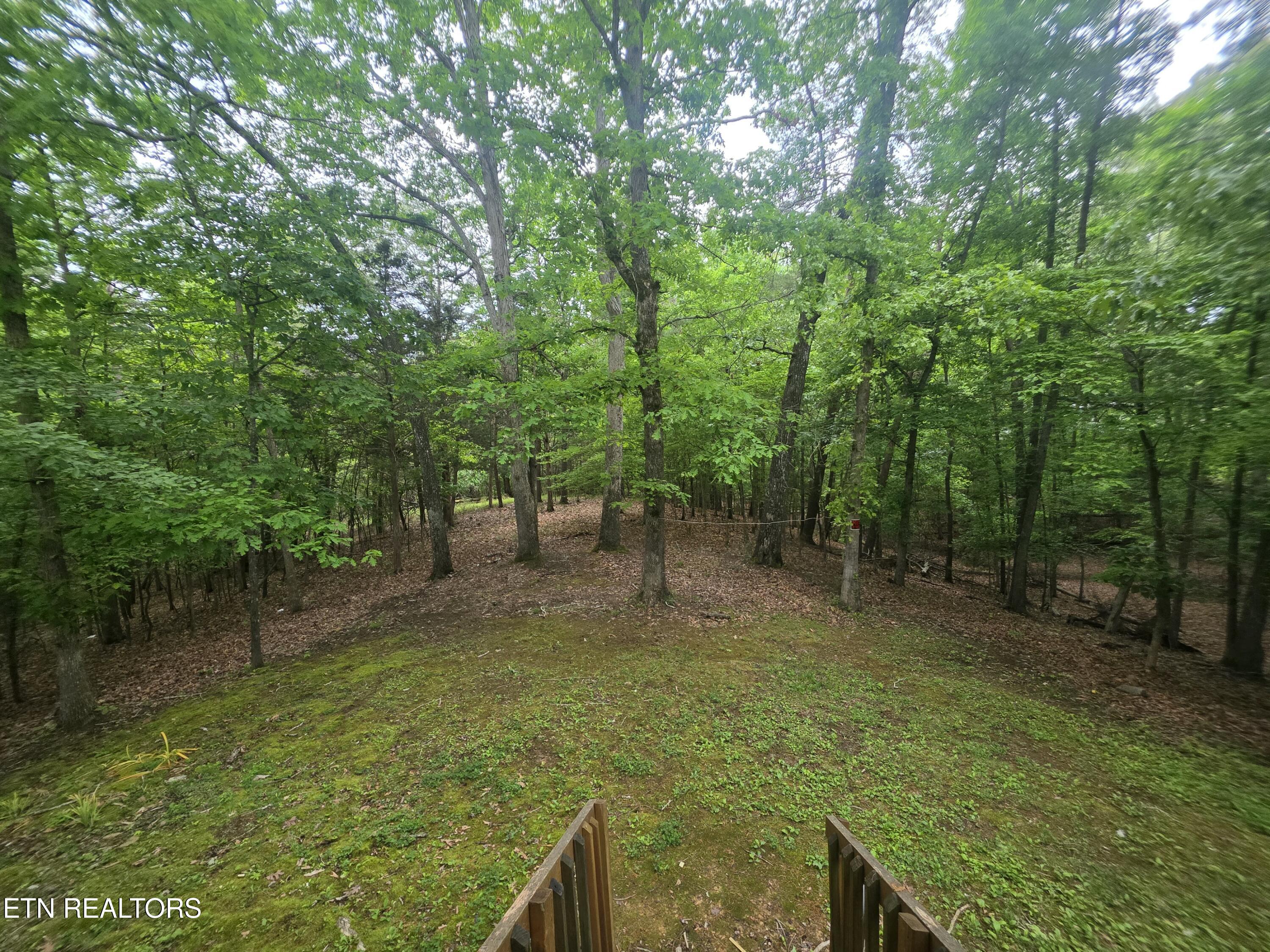 2170 Childress Road Dandridge, TN 37725 - Photo 12 of 26 45984