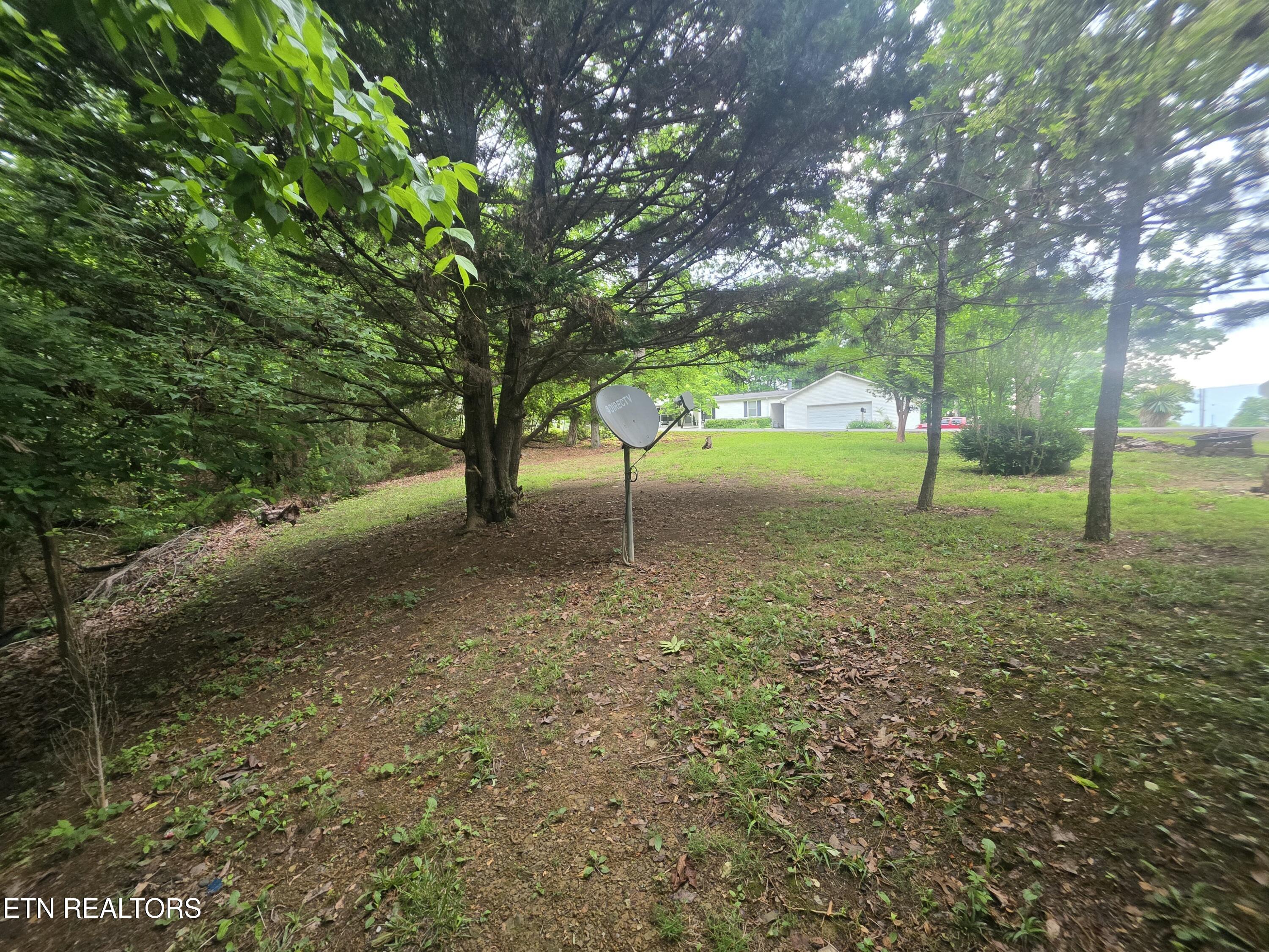 2170 Childress Road Dandridge, TN 37725 - Photo 7 of 26 45991