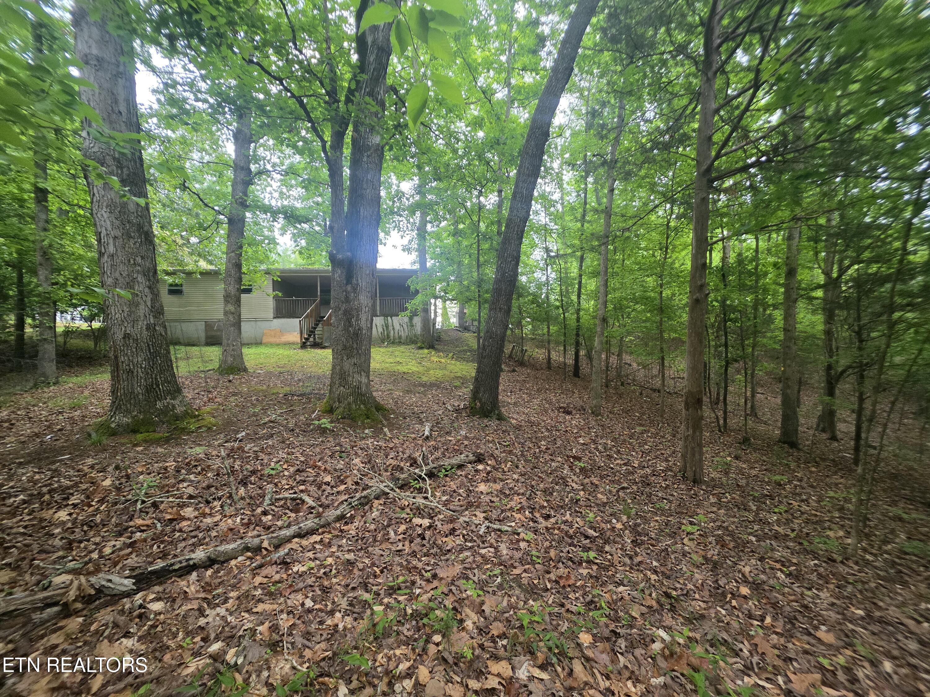 2170 Childress Road Dandridge, TN 37725 - Photo 9 of 26 45989